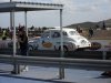 SDC13679.jpg