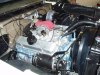 user118_pic17325_1220926267.jpg