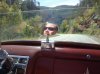 DSC01208.jpg
