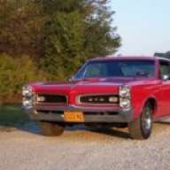 kiwi road runner