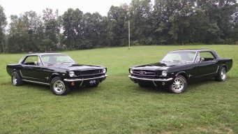 65stang85