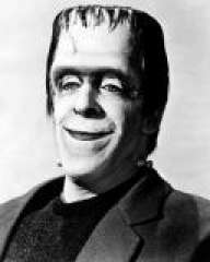 HermanMunster