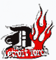 Detroit Torch