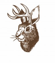 el-jackalope