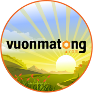 vuonmatong