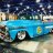 34 Road Lizard