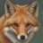 red fox