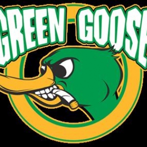 Green Goose logo 4