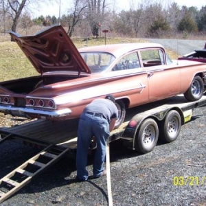 Strapping "Bel" down to the trailer