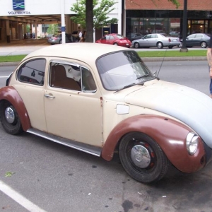 Love the bug...