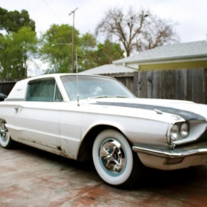 '66 Tbird