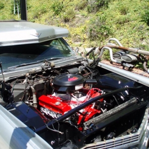 engine bay cleaned up but the firewall looks like shit