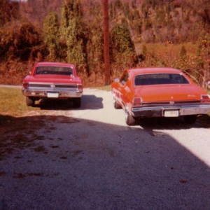 Red '67 SS396-350 horse chevelle and orange '69 SS396-375 horse chevelle.