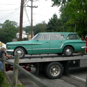 Picked up for delivery to a new home. We call her Wilma