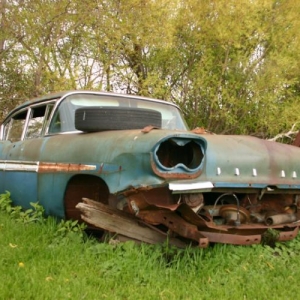 Cool Junkyard, lots of Ponchos