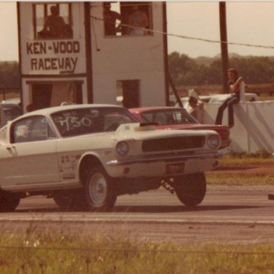 66 White Mustang