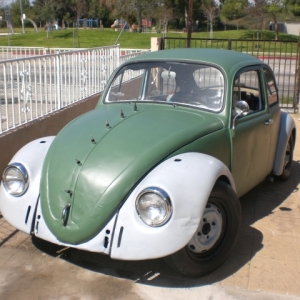 my bug