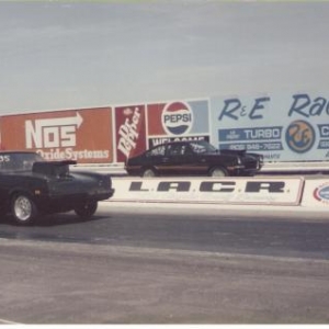 lee's vega's