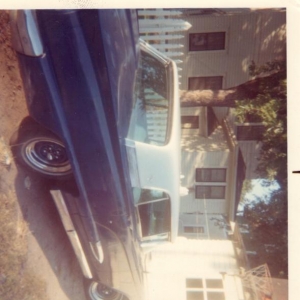 Tbird