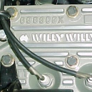 Willywilly8c