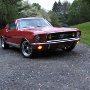 Mustang fore