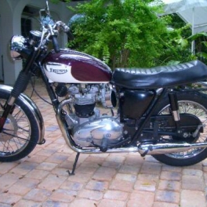 67 Triumph 650 bonni twin