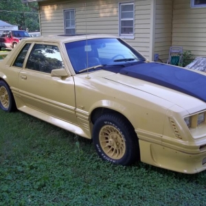 1983 mustang  one of 214 original yellow