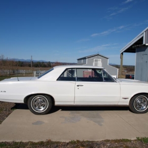 PHS GTO