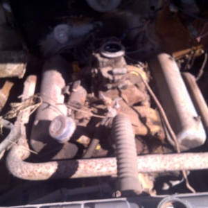 1957 F100 272 Y block