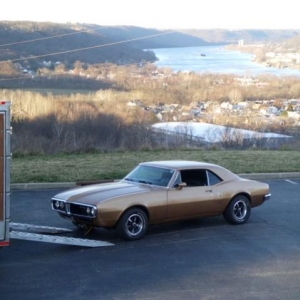 1967 Firebird