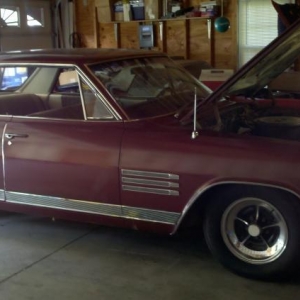 64 wildcat