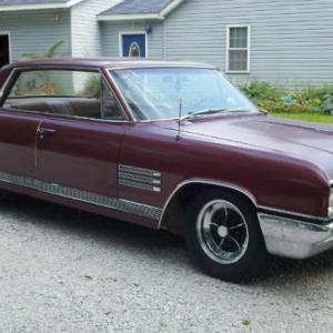 64 wildcat