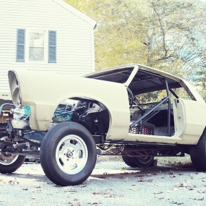 Gasser 016b