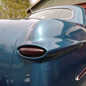 Frenched tail painted